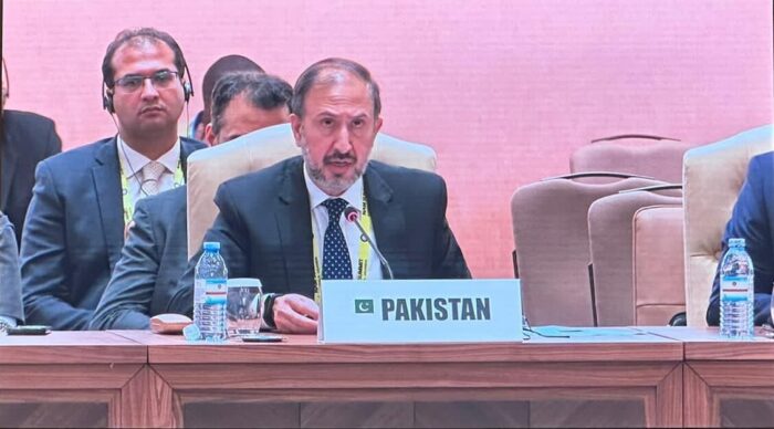 Additional Foreign Secretary Ambassador Syed Haider Shah