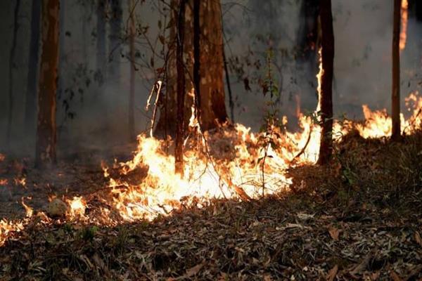 Forest_fire_along_LoC_in_Poonch_triggers