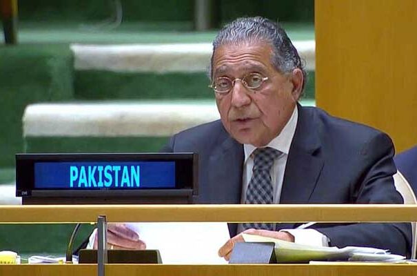 pakistan muneer akram in UN